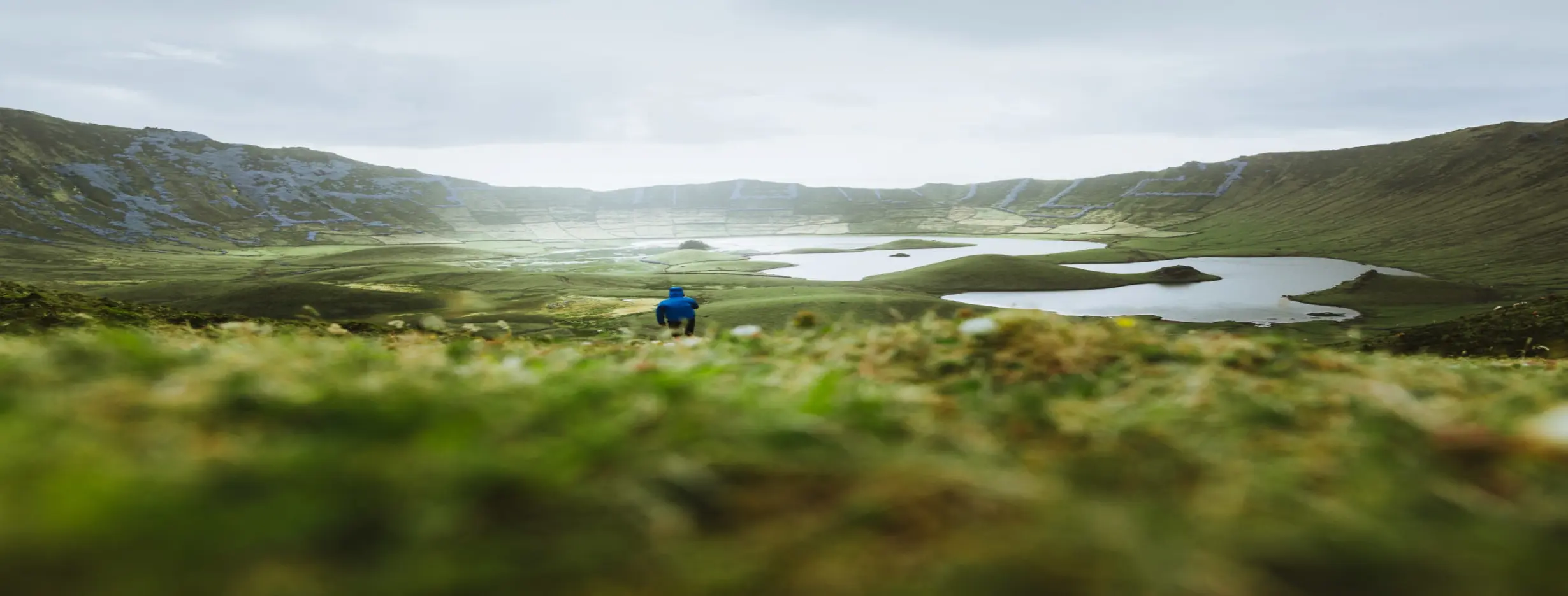 Image for Diverse Landscapes